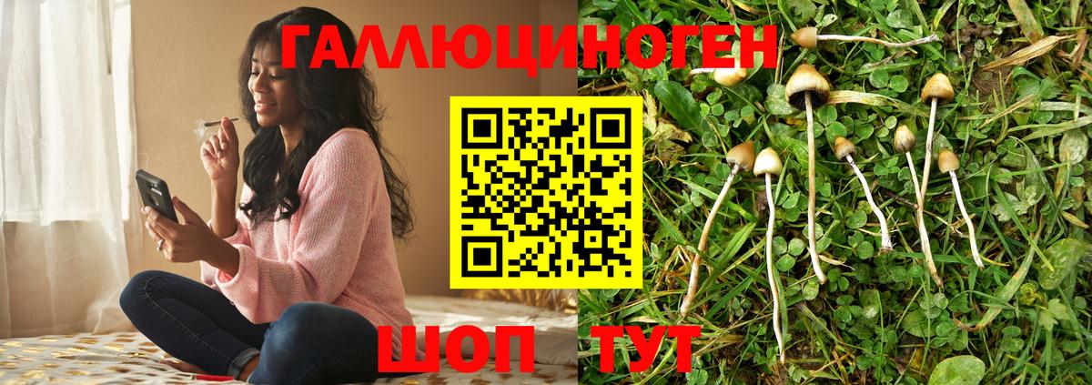 Алушта  Псилоцибиновые грибы прущие грибы  Вход с VPN 